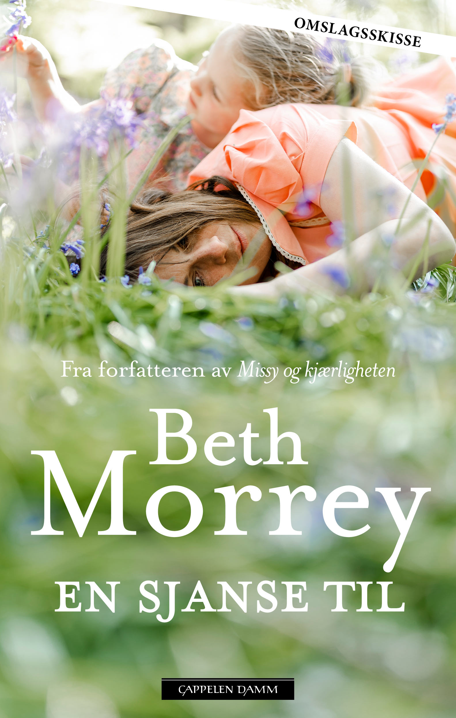 Delphine Jones Takes a Chance a book by Beth Morrey